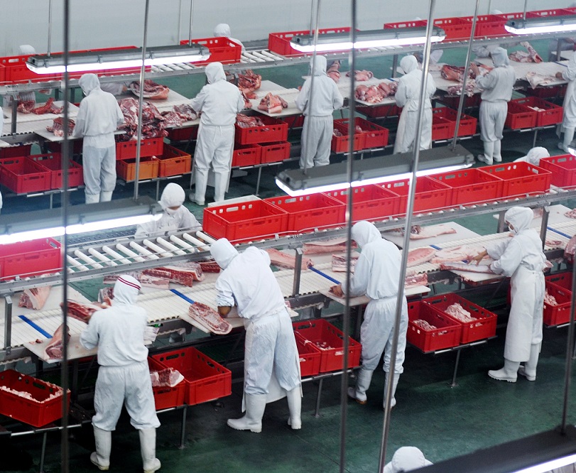 Food Processing Protection Made Easy